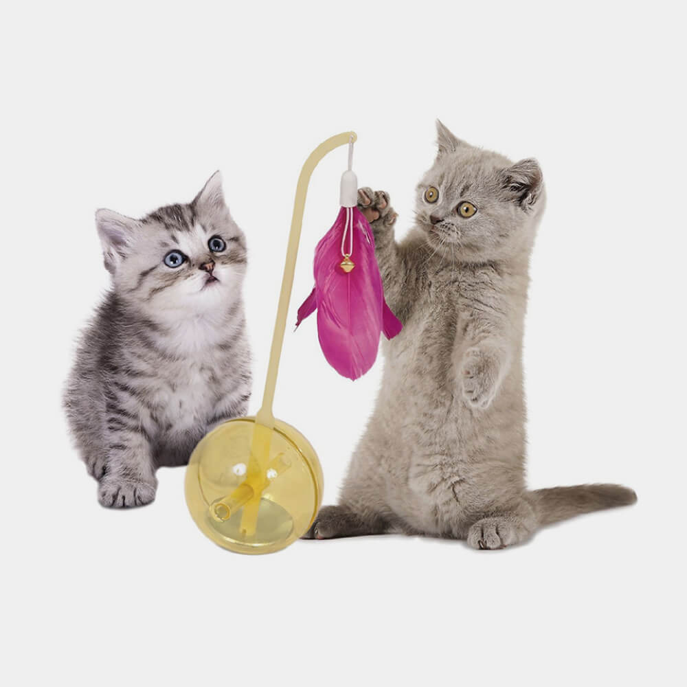 Image_product_#2